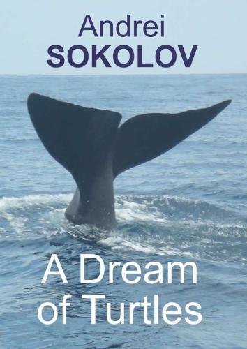 Preisvergleich Produktbild A Dream of Turtles