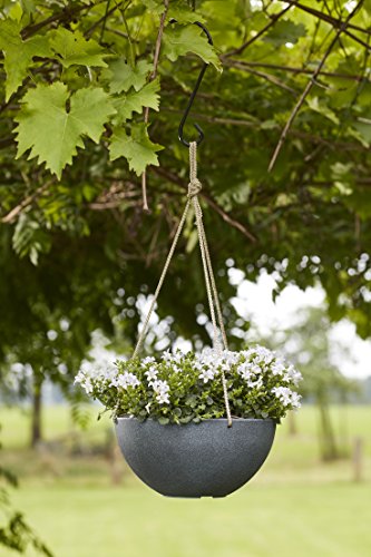 TS Blumenampel, Cera-Mix Pflanzgefäß Nova, frostbeständig und leichtgewichtig, greywash, 25x25x12 cm, 136542 - 2