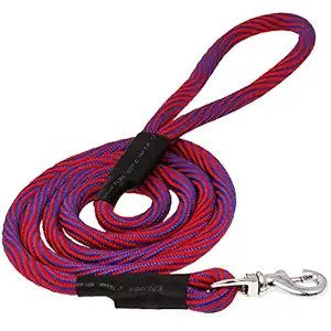 Petyantra Dog Leash Lead, Heavy Duty 12 mm x 5 FT Comfortable Strong Rope Slip Leash for Large, Medium & Small Dogs No Pulling Pet Training Leash with Reflective Threads (Red)