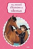 Mon recueil d'histoires de chevaux