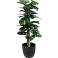 HYPERBOLES Indoor Artificial Plant Big Size Money Plant Tree Witout Vase for Home Decor - 5Feet