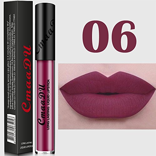 TOPBauty 2017new Ankünfte Sexy 15 Farben Wasserdicht Nackt Metallic Matte Nackt Lippe Langlebig Flüssig Lippenstift für Frauen Mädchen 06