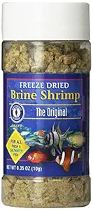 San Francisco Bay Brand ASF71104 Freeze Dried Brine Shrimp for Fresh and Saltwater Fish, 10gm