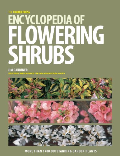 The Timber Press Encyclopedia of Flowering Shrubs: More Than 1700 Outstanding Garden Plants livre