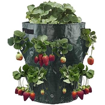 Pflanz-Sack für Erdbeeren 45cm Blumen Balkon Topf Pflanzen