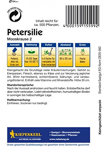 Petersilie Mooskrause 2 ein- bis zweijährig - 2