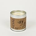 St. Eval Bergamot & Nettle Scented Tin Candle - Wax - Refreshing Fragrance - an Uplifting, Herbal Aroma with Bergamot Accord and Nettle Leaves - Made in Cornwall