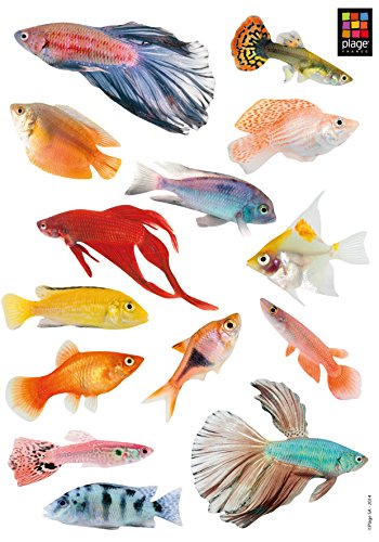 Plage Peces Tropicales Adhesivos Decorativos, Multicolor, 29,7x21cm