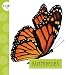 Produktbild Butterflies (Spot Creepy Crawlies)