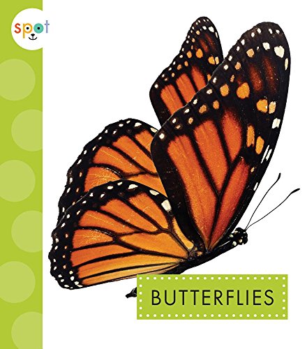 Preisvergleich Produktbild Butterflies (Spot Creepy Crawlies)