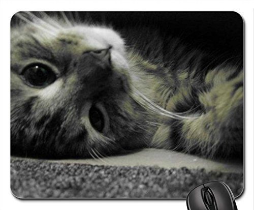 Preisvergleich Produktbild Poser Mauspad, Mousepad (Katzen Mauspad)