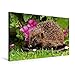 Produktbild Premium Textil-Leinwand 75 cm x 50 cm quer, Igel im Garten | Wandbild, Bild auf Keilrahmen, Fertigbild auf echter Leinwand, Leinwanddruck: Besuch im Futternapf (CALVENDO Tiere)