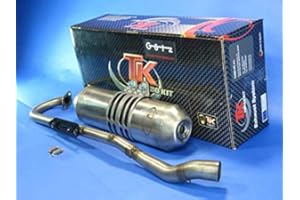 LZBBD Auspuff Ersatzteil für/kompatibel mit Kymco Maxxer 250/300 KXR 250 / MXU 250/300 Edelstahl