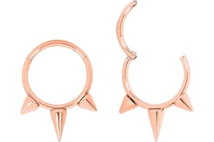 365 Sleepers Anillo de segmento con bisagras de acero quirúrgico 316L, unisex, 16 G, hélice, tragus, tabique, nariz, aro, piercing para el cuerpo