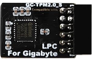NewHail Módulo TPM2.0 LPC de 12 pines con Infineon SLB9665 para placa base Gigabyte compatible con GC-TPM2.0_S