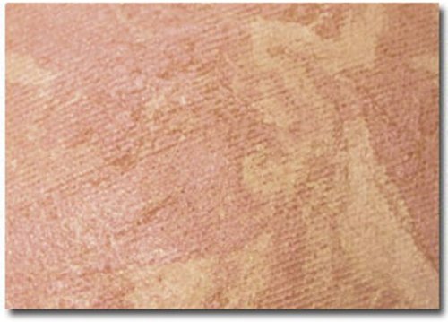 Prestige Cosmetics Skin Loving Minerals Sun Baked Mineral Bronzing Powder Pure Shimmer 8g - Pack of 2