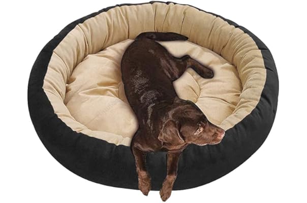 cooling dog bed canada