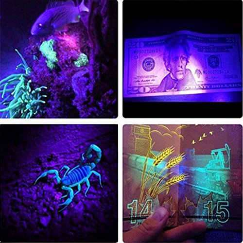 CORST Wasserdicht 5M 500cm SMD3528 LED 300 UV Schwarzlicht LED Streifen UV Strip Licht Flex Licht - 7