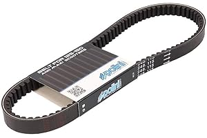 Courroie de transmission Polini pour Scooter Honda 125 PCX 2010 à 2014 248.116 Neuf