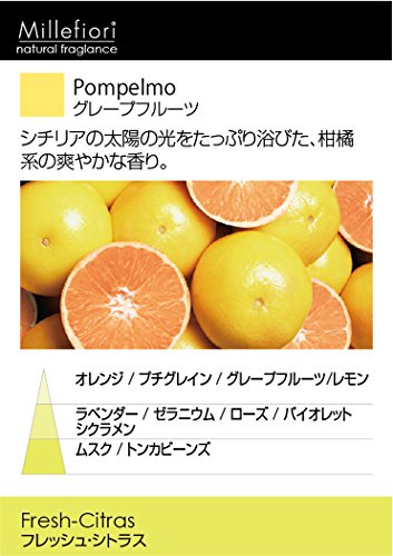 Millefiori Milano Nachfüllflasche Raumduft Natural Fragrance Pompelmo (0,25l) - 2