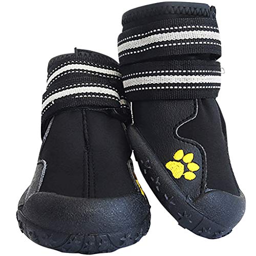 HUNDESCHUHE » Hunde Schuhe Sommer, Winter &amp; für verletzte Hunde
