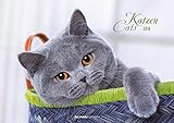 Image de Katzen 2018 - Cats - Bildkalender (42 x 60 geöffnet) - Tierkalender