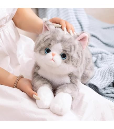 Ragdoll : tout savoir sur cette race de chat