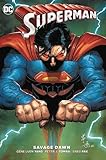 Image de Superman: Savage Dawn