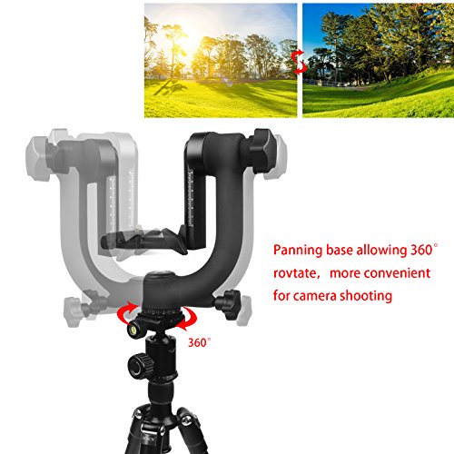 SHOOT 1 4 Pouce Screw 360-degree Rotule Pendulaire Panorama Gimbal Tr pied T te pour Canon Nikon Sony T l objectif Supporte jusqu 44 lb reviews SHOOT 1 4 Pouce Screw 360-degree Rotule Pendulaire Panorama Gimbal Tr pied T te pour Canon Nikon Sony T l objectif Supporte jusqu 44 lb