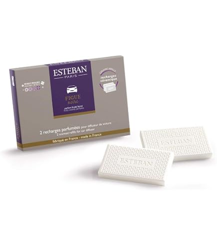 Esteban Pur Lin Lino Puro – Confezione Da 2 Ricariche Per Diffusore Auto Ceramica – Profumatore D'Aria