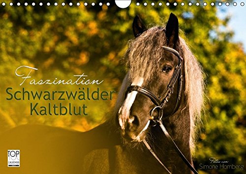 Faszination Schwarzwälder Kaltblut (Wandkalender 2018 DIN A4 quer): Kraftvoll, elegant und verspielt begleitet Sie das Schwarzwälder Kaltblut Pferd ... [Kalender] [Aug 24, 2015] HomSi-Fotos, k.A.