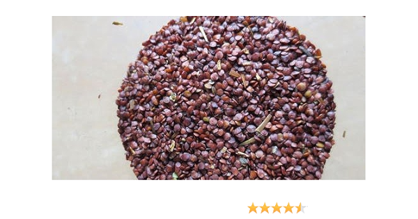 Buy Desiilaaz Talmakhana Astercantha Longifolia Kokilaksha 100 Gram Online At Low Prices In India Amazon In