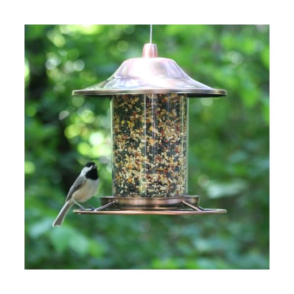 Perky-Pet Panorama Mangiatoia per Uccelli in Rame, 312C