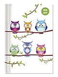 Collegetimer Owls 2018/2019 - Schülerkalender A5 - Weekly - 224 Seiten by