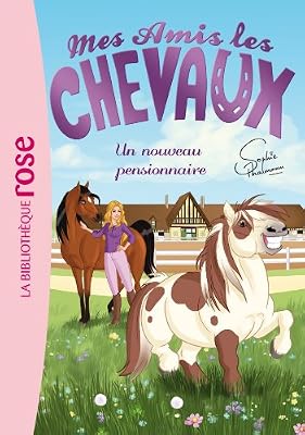 Hachette Jeunesse Mes amis les chevaux, tome 1 : Un nouveau pensionnaire
