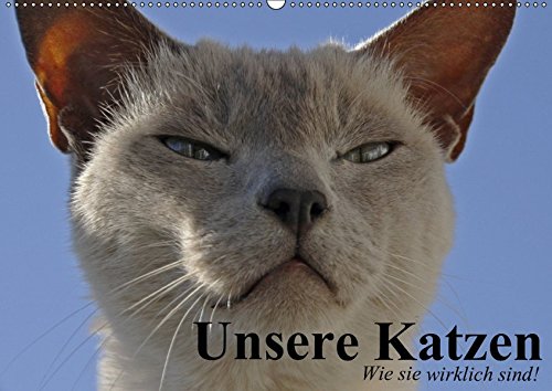 Preisvergleich Produktbild Unsere Katzen. Wie sie wirklich sind! (Wandkalender 2019 DIN A2 quer): Die ganze Wahrheit über Katzen! (Geburtstagskalender, 14 Seiten ) (CALVENDO Tiere)