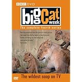 Big Cat Week - Series 4 [DVD]