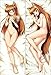 Produktbild DSL&HXY Dakimakura Hugging Body Pillow Cases Covers Spice and Wolf Holo LY013