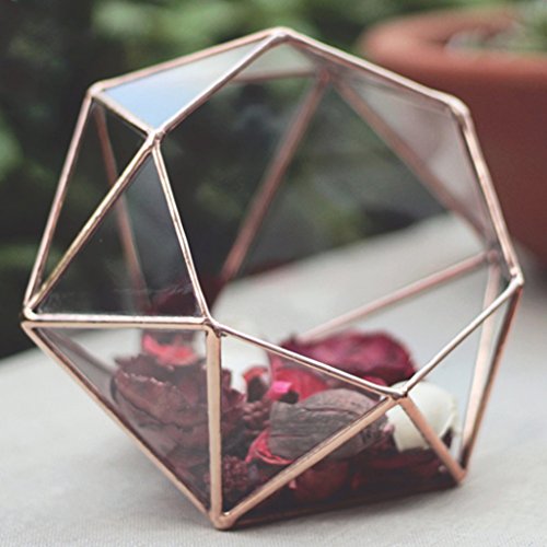 MagiDeal Geometrisches Glas Terrarium Box Glas Sukkulente Pflanzen Pflanzgefäß Deko Diamant Form – S - 9