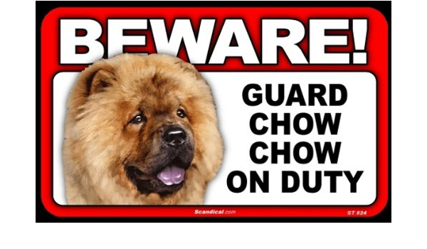 chow chow amazon