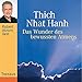 Das Wunder des bewussten Atmens by Thich Nhat Hanh, Robert Atzorn