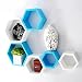 USHA Furniture Hexagon Shape Wall Shelf Set of 6(White & Sky blue) RS.1699.00