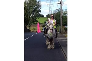 WIZ VIZ HORSE & RIDER SAFETY Hi Viz fluorescent streamer crop add-on. STAY SAFE PASS WIDE & SLOW. 7 COLOUR CHOICES !