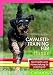 Produktbild Cavalettitraining für Hunde: Gymnastik und Abwechslung für Jederhund (Cadmos Hundebuch)