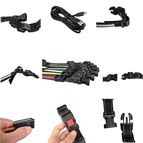 Lesypet-USB-Rechargeable-Reflective-Flashing-Lights-LED-Pets-Dog-Safety-CollarSolar-charger-and-WaterproofFit-for-Small-Medium-Large-Pets-Dog-Sold