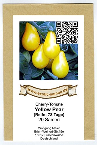 Gelbe, birnenförmige Mini-Tomate – gelbes Birnchen – yellow Pear – 20 Samen - 2