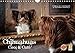 Produktbild Chihuahuas - Cool and Cute (Wandkalender 2019 DIN A4 quer): Wer ungewöhnliche Hundebilder liebt ist hier richtig. (Monatskalender, 14 Seiten ) (CALVENDO Tiere)