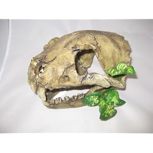 ProRep Dekoelement, Design Tigerchädel mit Pflanzen, aus Kunstharz, groß