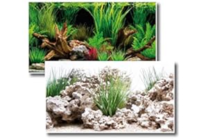 Amtra Deko Wonder - Pannello posteriore per foto stampato su entrambi i lati, in diverse misure, 2 in 1, decorazione per acquario, parete posteriore per foto, 100 x 60 cm