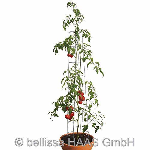 Tomatenturm 3 Stk. H. 180 cm 10002 - 3